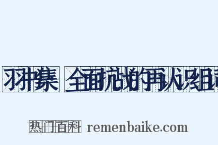 羽书集·全面抗战的再认识组词是什么意思的图片